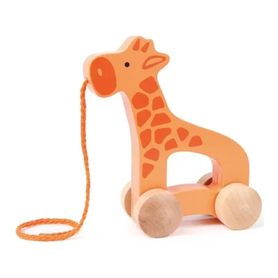 Girafa plimbăreață